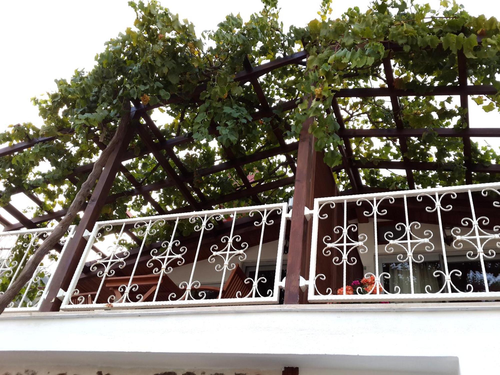 Lemon Villa Hotel (Adults Only) Hotel Alanya